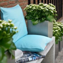 Kalanchoe 'Calandiva'®, Weiß, Topf-Ø 12 Cm, Höhe Ca. 27,5 Cm, 6er-Set -Pflanzen Paradies Verkauf 0210350168 Kalanchoe Cal weiss2