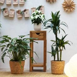 YOGA Tisch Blumensäule Aus Holz, Natur