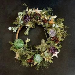 Schnittecheverien-Mix, Ø 8 Cm, 8er-Set -Pflanzen Paradies Verkauf 0250103364 Echeveria Mix 7 10cm in DIY Box 5 117175