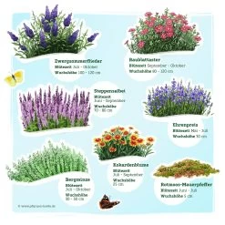 Schmetterlingsstauden Set, 19 Pflanzen Für 3 M², Bunt -Pflanzen Paradies Verkauf 0319100545 Schmetterling Stauden Mix 1 Set 19 Pflanzen fuer 3m2 2 121100