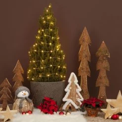 Zuckerhutfichte, Picea Glauca 'Conica', 3er Set, Topf 13 Cm Ø -Pflanzen Paradies Verkauf 0430103726 0430104461 0430107206 Picea glauca Conica 83350