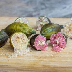 Fingerlimette, Topf-Ø 15 Cm, Höhe Ca. 40 Cm -Pflanzen Paradies Verkauf 0630100735 Citrus australasica Stamm T20 H60 70 WS 4 98316