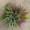 Heidepflanzen Mix, Farbe Variiert, Topf-/Schalen-Ø 23cm -Pflanzen Paradies Verkauf 0651200009 Heide Mix Schale T23 2 125798