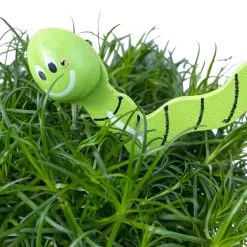 Sternmoos Mit Wurmstecker, Topf-Ø 6 Cm, 12er-Set 25 Sternmoos Mit Wurmstecker, Topf-Ø 6 Cm, 12er-Set -Pflanzen Paradies Verkauf 0664300091 Sagina mit Wurm gruen T6 Mini 12er Set 5 a 116152