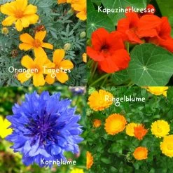 Blumensamen-Set Gourmet Blumen, Essbar, Bienenfreundlich, Dekorativ -Pflanzen Paradies Verkauf 0710403583 Blumensamen Set Gourmet Blumen 4essbare Sorten mit organ Duenger 5 60480