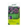 Allium Gladiator (Zierlauch) Lila, 5 Blumenzwiebeln -Pflanzen Paradies Verkauf 0720550024 kb allium gladiator zierlauch lila gr 20 5 st 1 76349