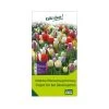 Überraschungsmischung Bauerngarten 75 Blumenzwiebeln -Pflanzen Paradies Verkauf 0720800123 kb ueberraschungsmischung bauerngarten 114240