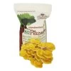 Pilzmännchen Bio Pilzzucht-Tüte Limonenpilz "Pilzzauber", 500 G 1 Pilzmännchen Bio Pilzzucht-Tüte Limonenpilz "Pilzzauber", 500 G -Pflanzen Paradies Verkauf 0740400033 BIO Pilzzucht Tuete Limonenpilz 53472