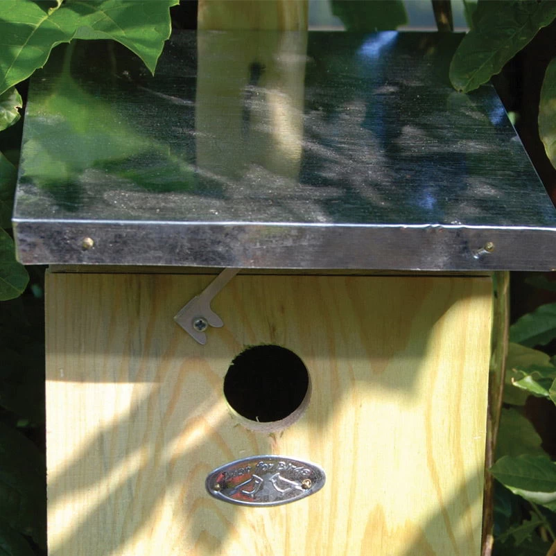 Nistkasten Kohlmeisen 4 Nistkasten Kohlmeisen – Bild 2