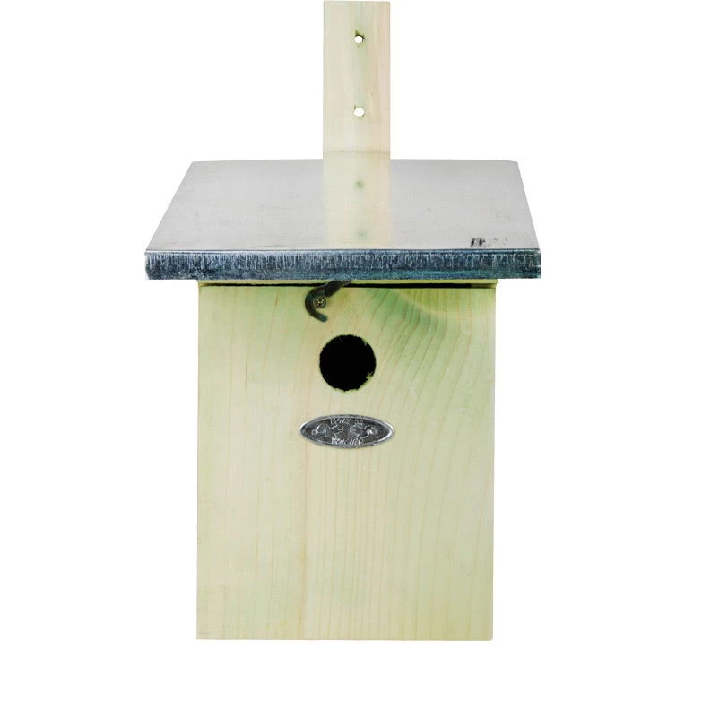 Nistkasten Kohlmeisen 3 Nistkasten Kohlmeisen