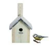 Nistkasten Für Blaumeisen -Pflanzen Paradies Verkauf 0910150150 Nistkasten Blaumeisen 47417