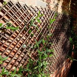 Ausziehbares Weidenspaliergitter, 180x120 Cm