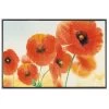 Kleen-Tex Fußmatte "Sunny Poppy", Ca. 50x75 Cm