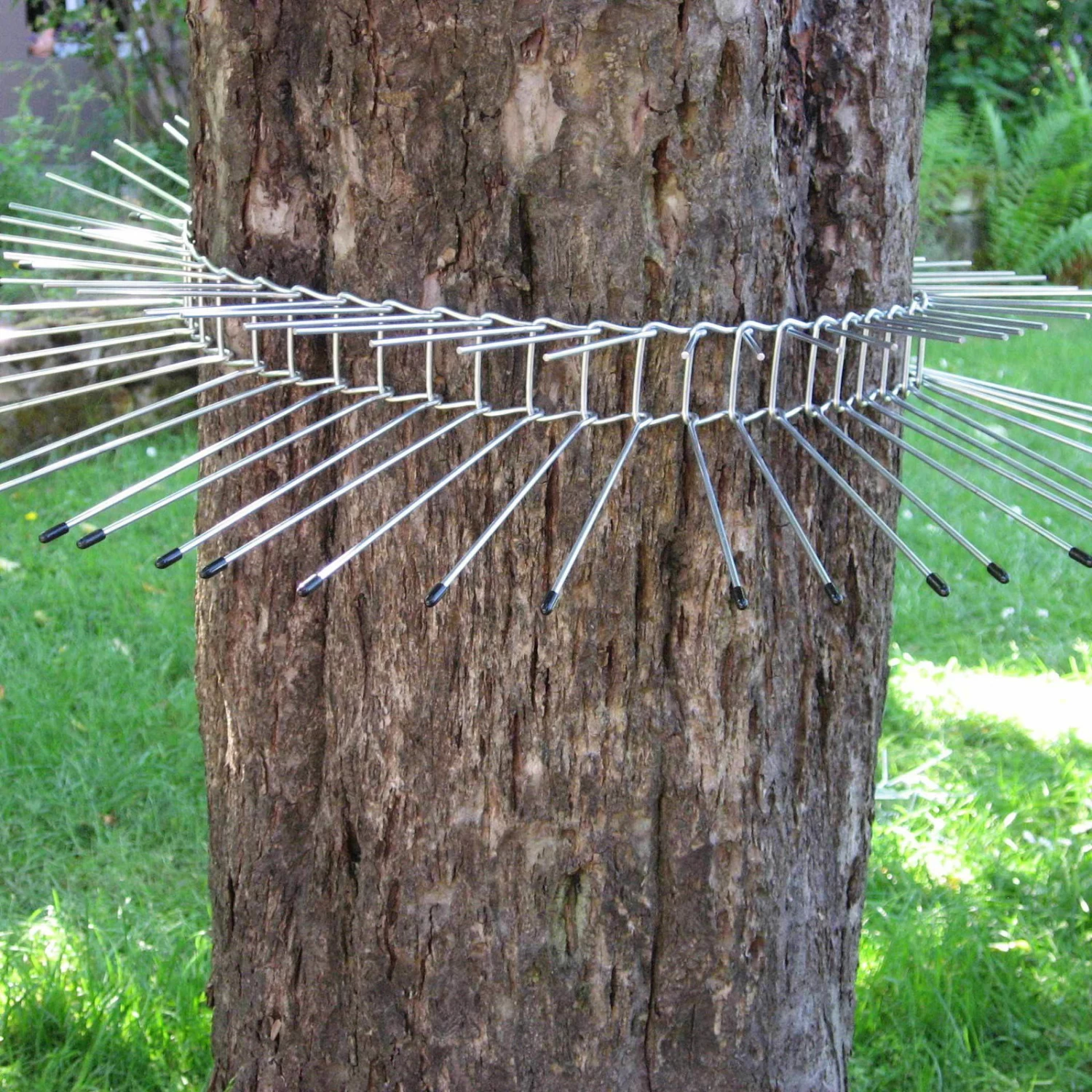 Katzenabwehrgürtel, Draht, Schutz Für Brütende Vögel, Umfang Bis 70 Cm 3 Katzenabwehrgürtel, Draht, Schutz Für Brütende Vögel, Umfang Bis 70 Cm