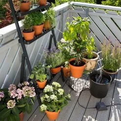 Gardena Urlaubsbewässerung City-Gardening, Bis Zu 36 Töpfe, Transformator, Zeitschaltuhr -Pflanzen Paradies Verkauf 0930100238 city Gardening Urlaubsbewaesserung fuer bis zu 36 Topfpflanzen 1 61510