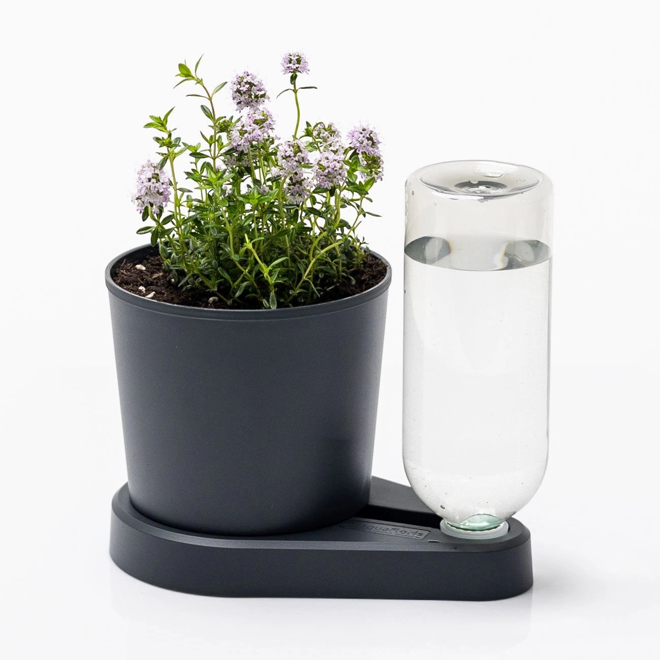 Kräuterheld, Anthrazit, PP/PET, 14 X 14 X 22 Cm 5 Kräuterheld, Anthrazit, PP/PET, 14 X 14 X 22 Cm – Bild 3