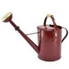 Zinkgießkanne Mit Holzgriff Und Messingbrause, Weinrot -Pflanzen Paradies Verkauf 0930401362 0930401364 Koelle Zinkgiesskanne mit Holzgriff Messingbrause weinrot 84492