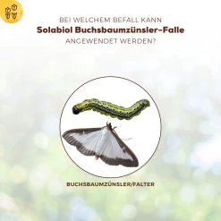 Solabiol Buchsbaumzünsler-Falle, Ausreichend Für Bis Zu 180 M² 9 Solabiol Buchsbaumzünsler-Falle, Ausreichend Für Bis Zu 180 M² -Pflanzen Paradies Verkauf 0950200723 Buchsbaumzuensler Falle fuer bis zu 180qm Flaeche 1 107232