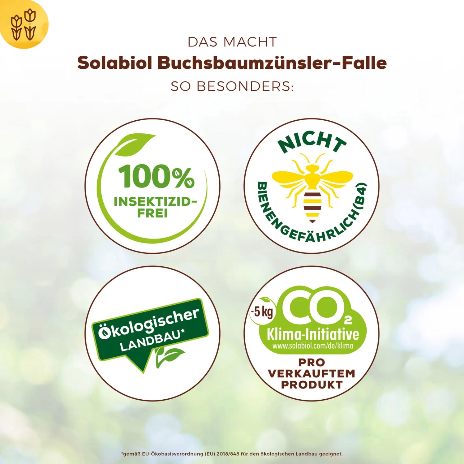 Solabiol Buchsbaumzünsler-Falle, Ausreichend Für Bis Zu 180 M² 7 Solabiol Buchsbaumzünsler-Falle, Ausreichend Für Bis Zu 180 M² – Bild 5