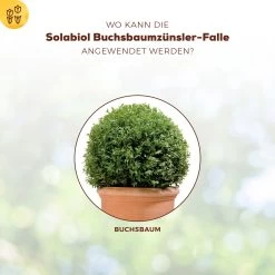 Solabiol Buchsbaumzünsler-Falle, Ausreichend Für Bis Zu 180 M² 10 Solabiol Buchsbaumzünsler-Falle, Ausreichend Für Bis Zu 180 M² -Pflanzen Paradies Verkauf 0950200723 Buchsbaumzuensler Falle fuer bis zu 180qm Flaeche 4 107233