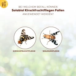 Solabiol Kirschfruchtfliegenfalle, 5er-Pack 9 Solabiol Kirschfruchtfliegenfalle, 5er-Pack -Pflanzen Paradies Verkauf 0950200760 Solabiol Kirschfruchtfliegenfalle 5Stueck 1 107242