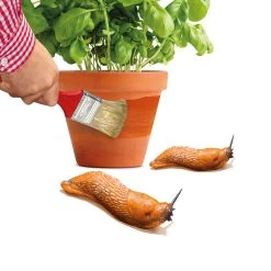 Schnexagon, Anstrich Gegen Schnecken, 375 Ml 7 Schnexagon, Anstrich Gegen Schnecken, 375 Ml -Pflanzen Paradies Verkauf 0950300991 Schnexagon 375ml 1 94152