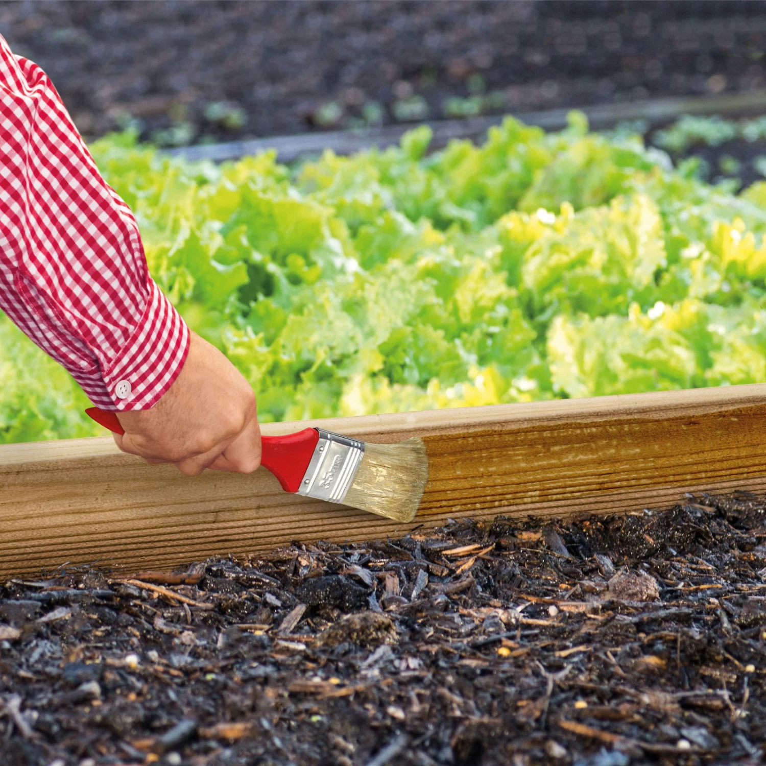 Schnexagon, Anstrich Gegen Schnecken, 375 Ml 4 Schnexagon, Anstrich Gegen Schnecken, 375 Ml – Bild 2