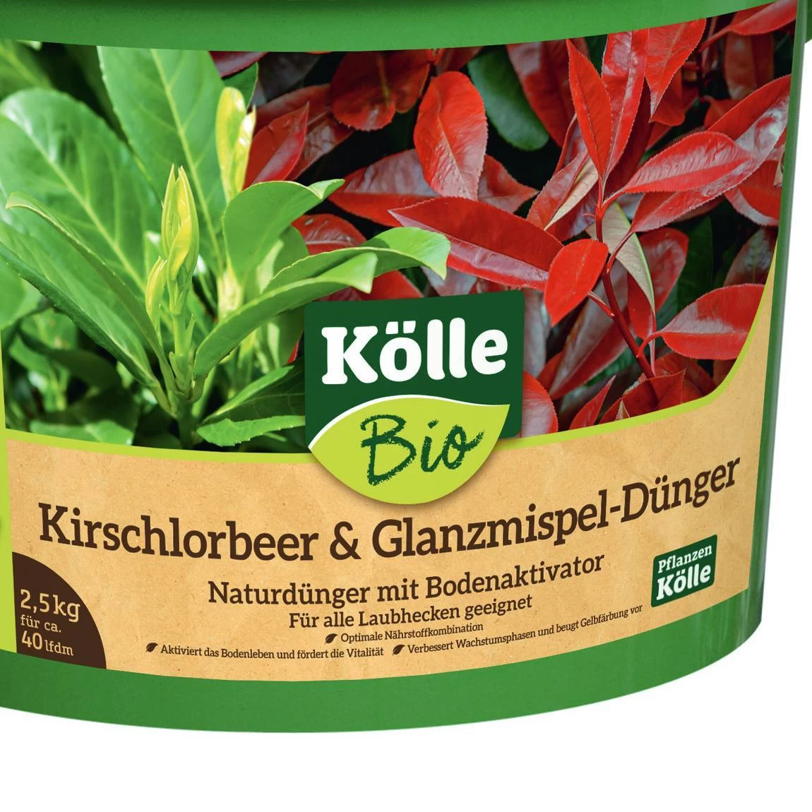 Bio Kirschlorbeer & Glanzmispel-Dünger, 2,5 Kg 4 Bio Kirschlorbeer & Glanzmispel-Dünger, 2,5 Kg – Bild 2
