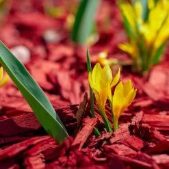 Plantop Dekormulch Ziegelrot, 1950 L Gesamt, 39 Sack á 50 Liter -Pflanzen Paradies Verkauf 0960 mulch rot 125176