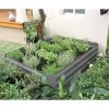 Hochbeet Siena Garden, 120 X 90 X 30 Cm, Grau, Metall 1 Hochbeet Siena Garden, 120 X 90 X 30 Cm, Grau, Metall -Pflanzen Paradies Verkauf 0980250112 Hochbeet grau 120x90x30cm 1 62397