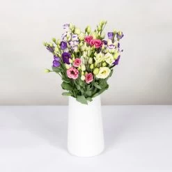 Gemischter Blumenbund 'Lisianthus' Inkl. Gratis Grußkarte 7 Gemischter Blumenbund 'Lisianthus' Inkl. Gratis Grußkarte -Pflanzen Paradies Verkauf 1015700001 Lisianthus Mix 10er Bund weiss blau rosa WS 2 94400