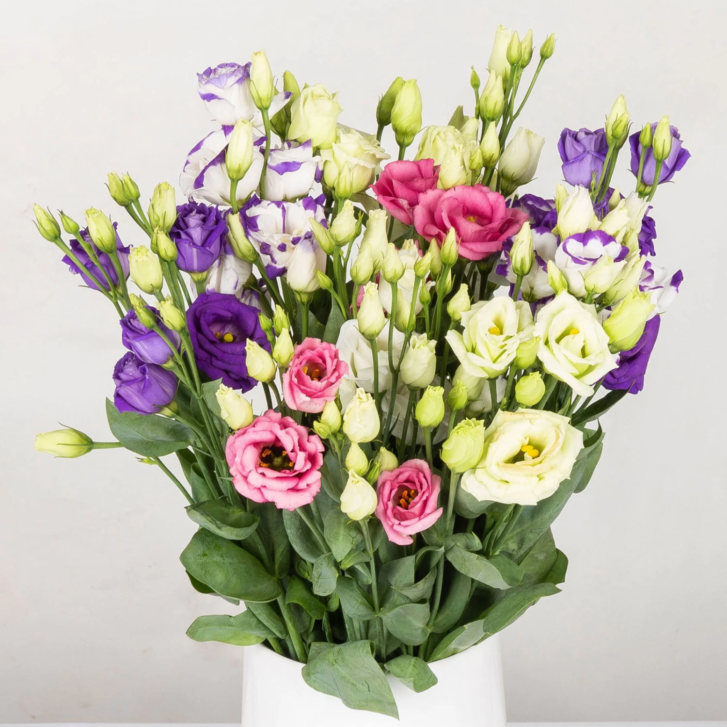 Gemischter Blumenbund 'Lisianthus' Inkl. Gratis Grußkarte 3 Gemischter Blumenbund 'Lisianthus' Inkl. Gratis Grußkarte