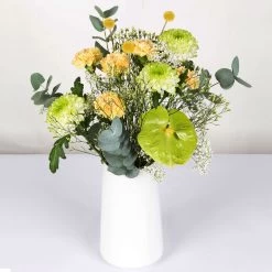 Gemischter Blumenbund 'Grüne Schönheit' Inkl. Gratis Grußkarte 7 Gemischter Blumenbund 'Grüne Schönheit' Inkl. Gratis Grußkarte -Pflanzen Paradies Verkauf 1025700013 DIY Mixbund Gruene Schoenheit Nelke Zembla Crasp Euka Gypso Stat Anth 1 94427