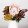 Blumenbund Protea King Mit Skimmie Und Kapgrün, Inkl. Gratis Grußkarte -Pflanzen Paradies Verkauf 1025700017 Strauss Protea King mit Skimmia 1 101675