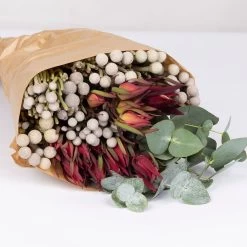 Blumenbund Eukalyptus Mit Brunia Und Kapgrün, Inkl. Grußkarte 9 Blumenbund Eukalyptus Mit Brunia Und Kapgrün, Inkl. Grußkarte -Pflanzen Paradies Verkauf 1025700023 Strauss Brunia 1 1 101694