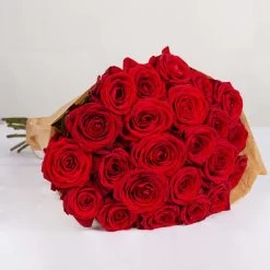 Blumenbund Mit Rosen 'Red Naomi', 25er-Bund, Rot, Inkl. Gratis Grußkarte -Pflanzen Paradies Verkauf 1045500005 Rose Red Naomi 25er Bund 60cm 1 85338