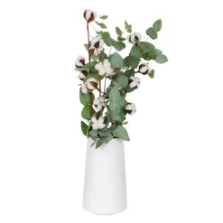 Eukalyptus Getrocknet Und Baumwolle, 2er-Set 7 Eukalyptus Getrocknet Und Baumwolle, 2er-Set -Pflanzen Paradies Verkauf 1055300002 Euca natur Baumwolle 2er Set 83031