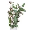 Eukalyptus Getrocknet Und Baumwolle, 2er-Set -Pflanzen Paradies Verkauf 1055300002 Euca natur Baumwolle 2er Set 1 114839