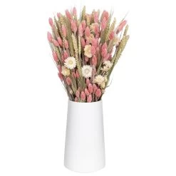 Weißer Trockenstrauß & Rosa Glanzgras, 3er-Set, Länge Ca. 55 - 70 Cm -Pflanzen Paradies Verkauf 1055300004 Trockenstrauss weiss Phalaris rosa 1 83167