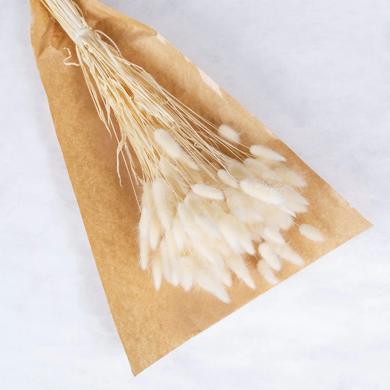 Samtgras Im Bund, Gebleicht Und Getrocknet, Ca. 65 Cm 4 Samtgras Im Bund, Gebleicht Und Getrocknet, Ca. 65 Cm – Bild 2