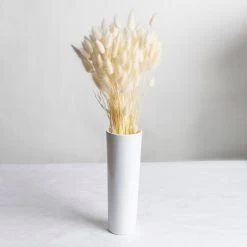 Samtgras Im Bund, Gebleicht Und Getrocknet, Ca. 65 Cm 7 Samtgras Im Bund, Gebleicht Und Getrocknet, Ca. 65 Cm -Pflanzen Paradies Verkauf 1055300010 Lagurus gebleicht 2 89168