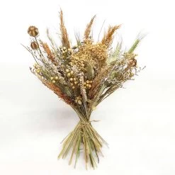 Trockenblumen DIY-Set, Natur, Länge Ca. 60 Cm -Pflanzen Paradies Verkauf 1055300013 Trockenblumen DIY Box natur gemischt WS 1 95063