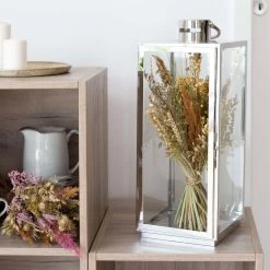 Trockenblumen DIY-Set, Natur, Länge Ca. 60 Cm -Pflanzen Paradies Verkauf 1055300013 Trockenblumen DIY Box natur gemischt 100072