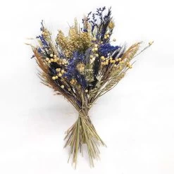 Trockenblumen DIY-Set, Natur-blau, Länge Ca. 60 Cm -Pflanzen Paradies Verkauf 1055300014 Trockenblumen DIY Box blau gemischt WS 1 95065