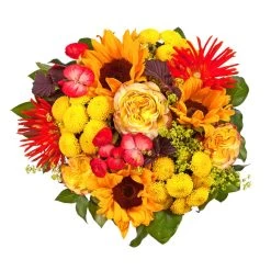 Blumenstrauß 'Sommerabend' Inkl. Gratis Grußkarte -Pflanzen Paradies Verkauf 1110600041 Sommer Orange D33cm 2 6660