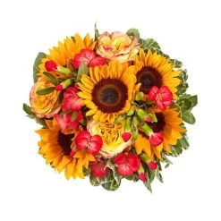 Blumenstrauß 'Viel Glück' Inkl. Gratis Grußkarte -Pflanzen Paradies Verkauf 1110600042 Sommer Orange D28cm 2 6662