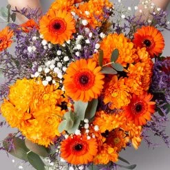 Blumenstrauß 'Rotterdam' Inkl. Gratis Grußkarte 9 Blumenstrauß 'Rotterdam' Inkl. Gratis Grußkarte -Pflanzen Paradies Verkauf 1110600099 strauss rotterdam setting 2 121253