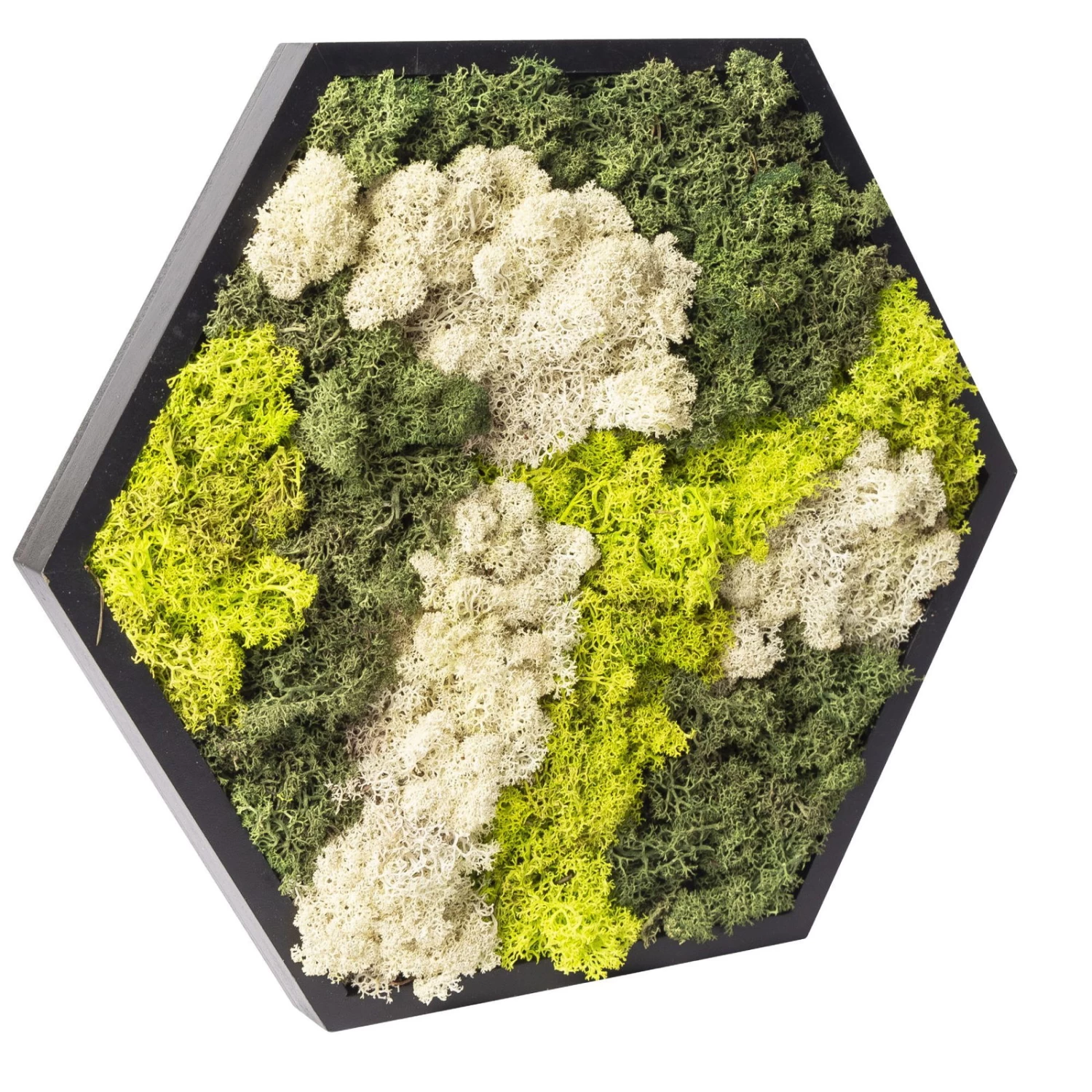 Moosbild Hexagon Mit Schwarzem Rahmen, 38 Cm Ø 4 Moosbild Hexagon Mit Schwarzem Rahmen, 38 Cm Ø – Bild 2