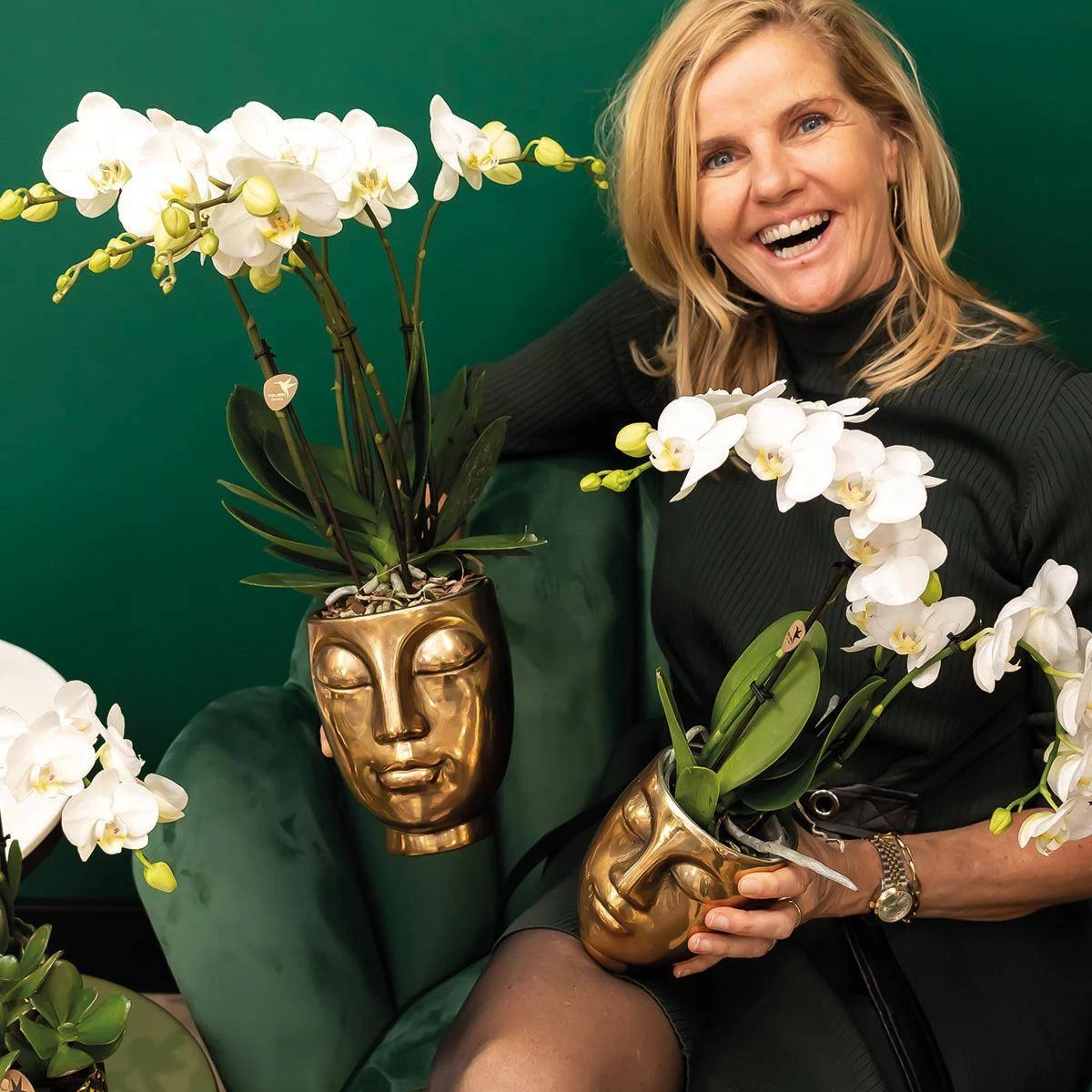 Geschenkset Orchidee & Sukkulente, Gold, Inkl. Übertöpfen Und Dekotablett 7 Geschenkset Orchidee & Sukkulente, Gold, Inkl. Übertöpfen Und Dekotablett – Bild 5