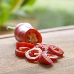 Blu Bio Chilipflanze Zwerg-Chili, Topf-Ø 12 Cm, 3er Set 14 Blu Bio Chilipflanze Zwerg-Chili, Topf-Ø 12 Cm, 3er Set -Pflanzen Paradies Verkauf 1620330132 Blu Bio Zwerg Chili mit Fruechte T12 3er Set extra scharf 2 124305